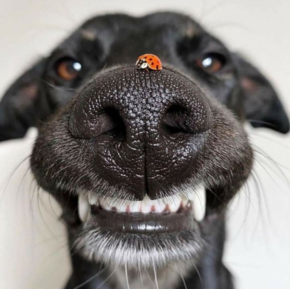 Meet your Posher, Emily - Picture 1 of 1